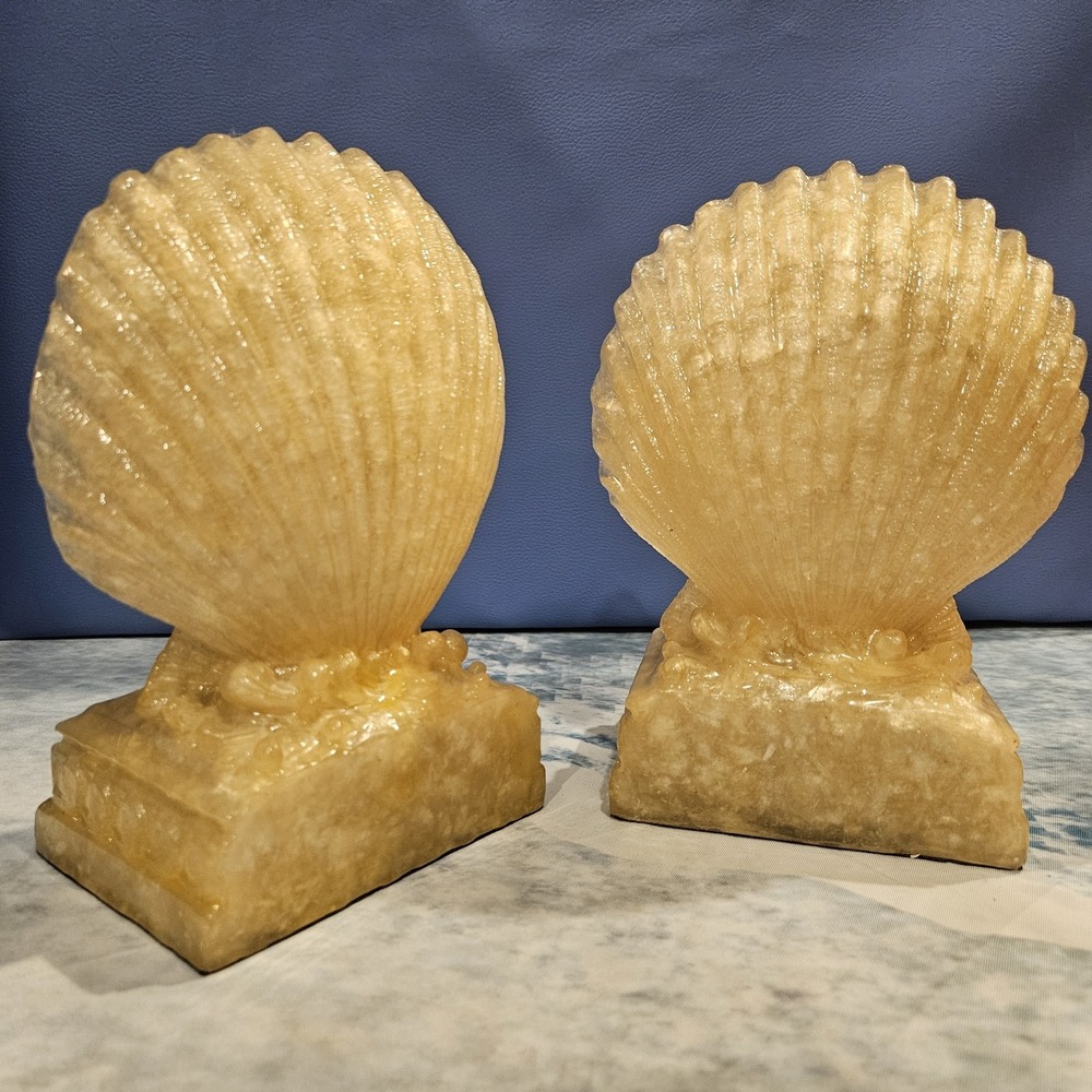 Clamshell Bookends Set - Picture 3 of 7